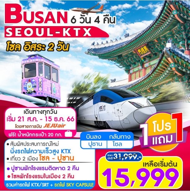 ทัวร์เกาหลี Busan Seoul Platinum Package 6D 4N BY 7C (TW)