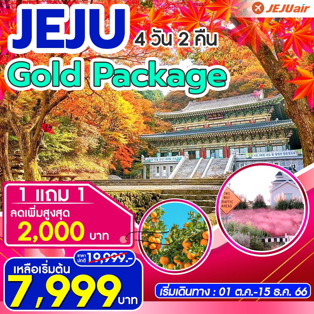 ทัวร์เกาหลี Jeju Gold Package Autumn 4D2N (TW)