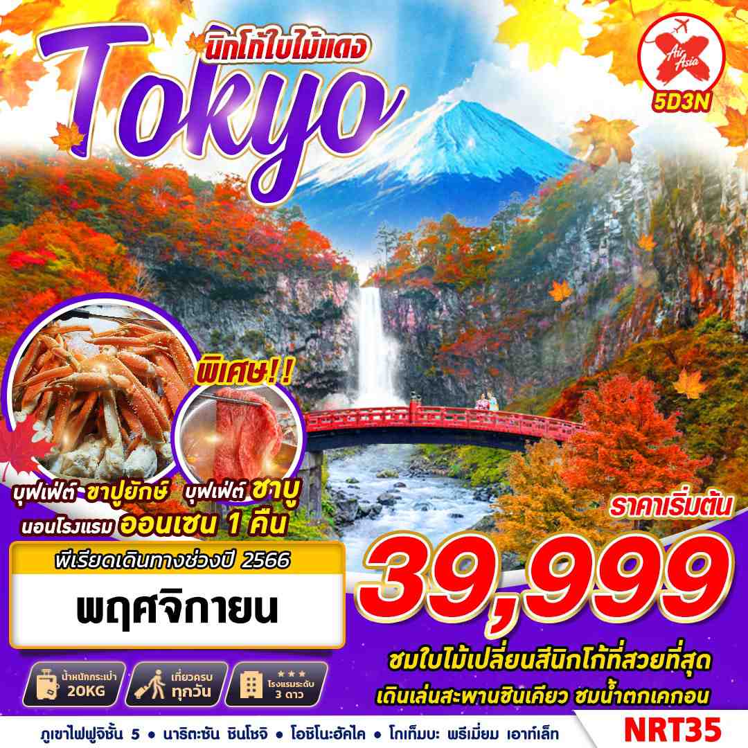 ทัวร์ญี่ปุ่น TOKYO นิกโก้ใบไม้แดง 5D3N - ชมใบไม้เปลี่ยนสี