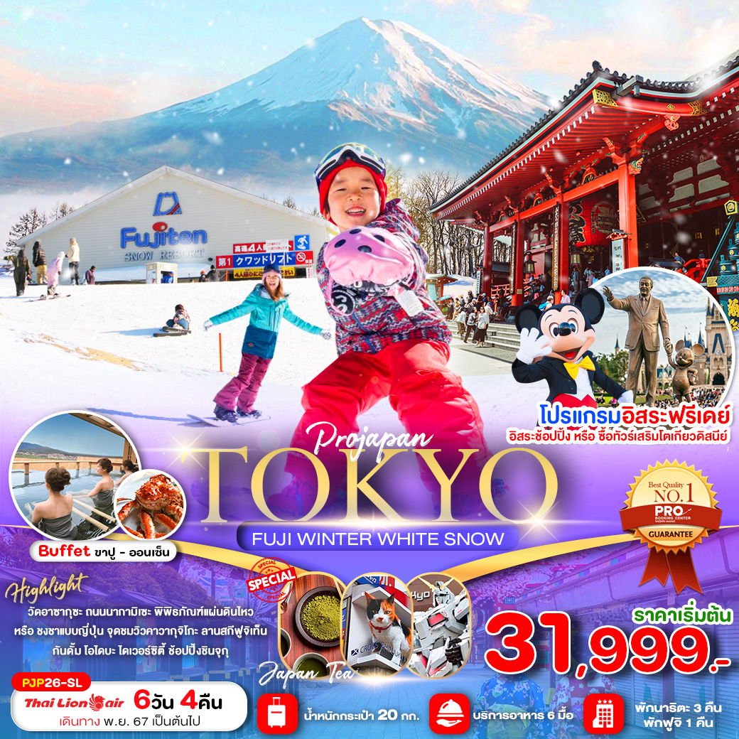 ทัวร์ญี่ปุ่น TOKYO FUJI WINTER WHITE SNOW 6D4N