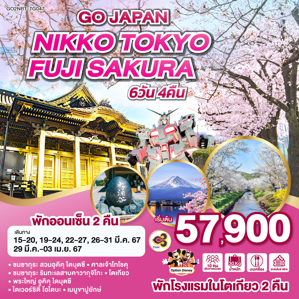 ทัวร์ญี่ปุ่น NIKKO TOKYO FUJI SAKURA 6D 4N โดยสายการบินไทย [TG]