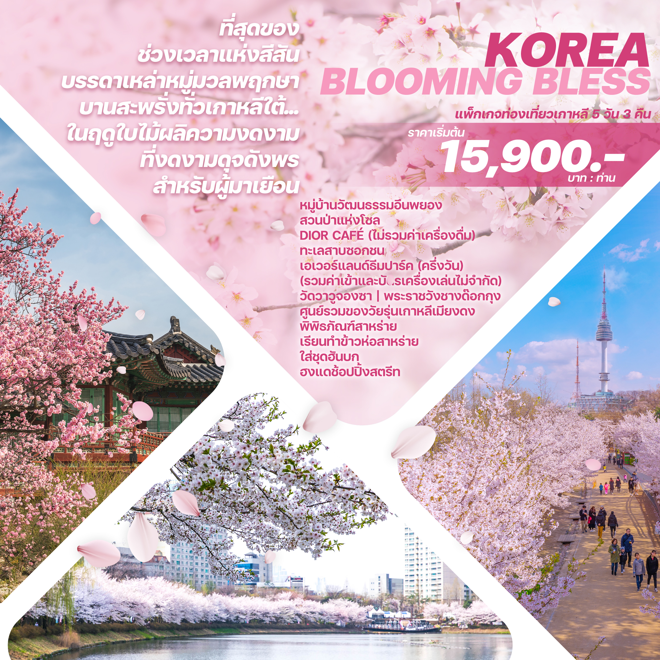 ทัวร์เกาหลี KOREA BLOOMING BLESS