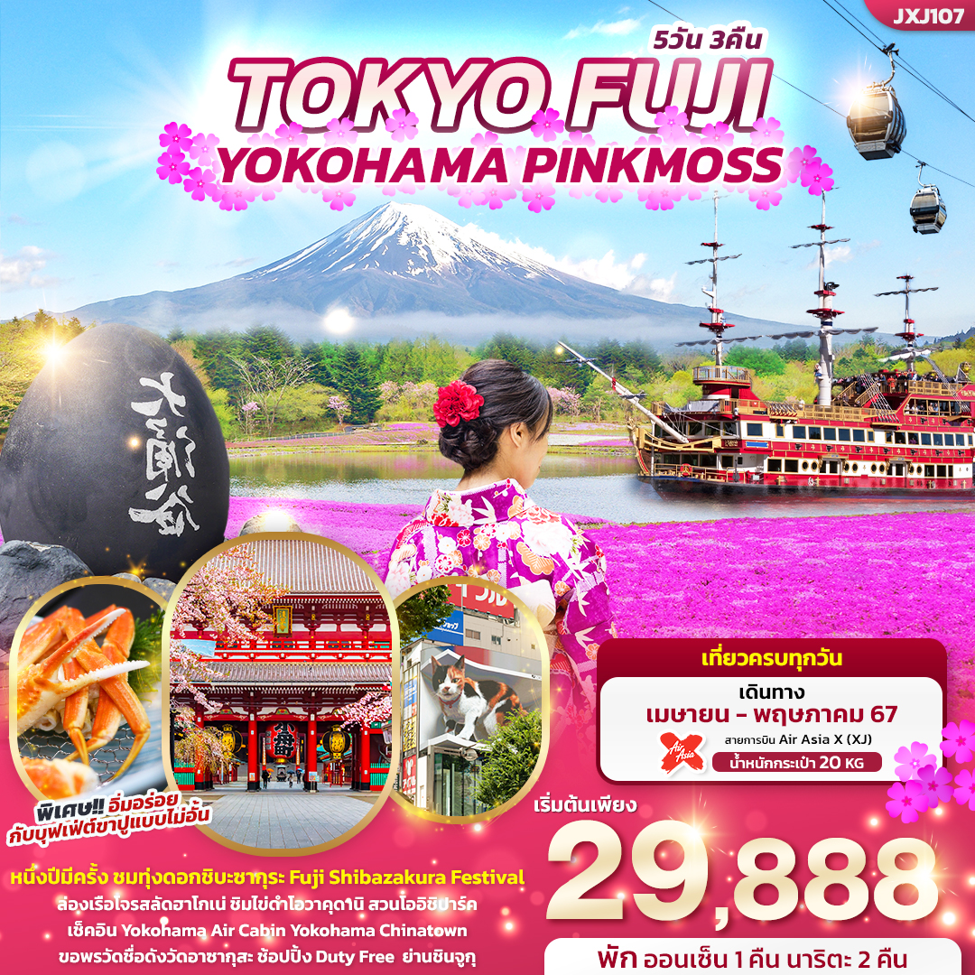 ทัวร์ญี่ปุ่น TOKYO FUJI YOKOHAMA PINKMOSS 5 วัน 3 คืน