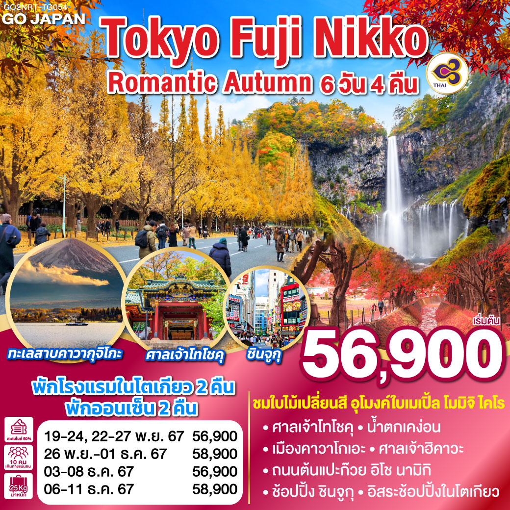 ทัวร์ญี่ปุ่น TOKYO FUJI NIKKO ROMANTIC AUTUMN 6D 4N