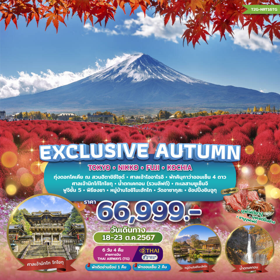 ทัวร์ญี่ปุ่น Exclusive Autumn...Tokyo Nikko Fuji Kochia 6วัน 4คืน (TG)