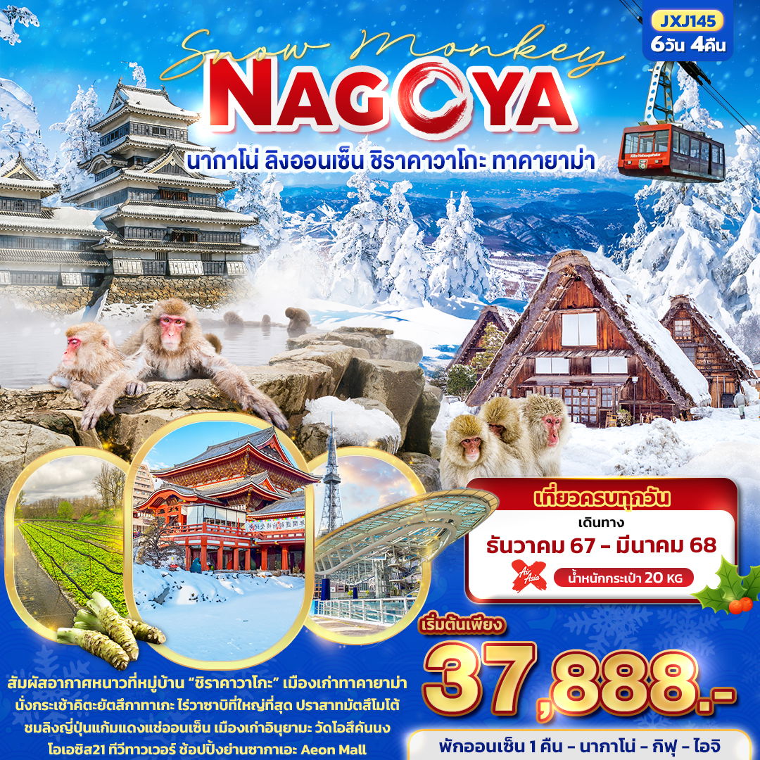 ทัวร์ญี่ปุ่น Snow Monkey NAGOYA นากาโน่ ลิงออนเซ็น ชิราคาวาโกะ ทาคายาม่า 6 วัน 4 คืน