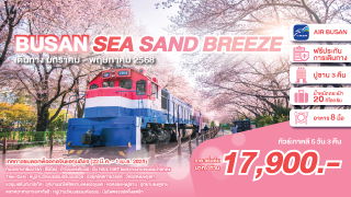 ทัวร์เกาหลี BUSAN SEA SAND