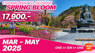 ทัวร์เกาหลีบินตรงเชียงใหม่ - โซล CHIANG MAI TO SEORAK SPRING BLOOM