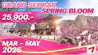 ทัวร์เกาหลี GRAND SEORAK SPRING BLOOM