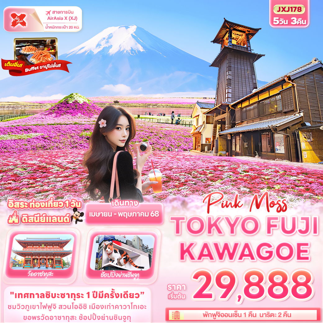 ทัวร์ญี่ปุ่น Pink Moss TOKYO FUJI KAWAGOE 5 วัน 3 คืน