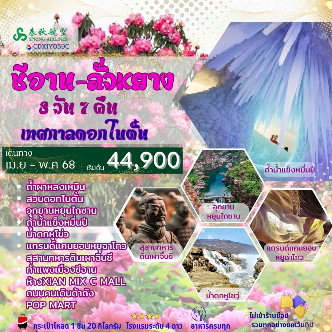 ซีอาน - ลั่วหยาง เทศกาลดอกโบตั๋น 8วัน 7คืน