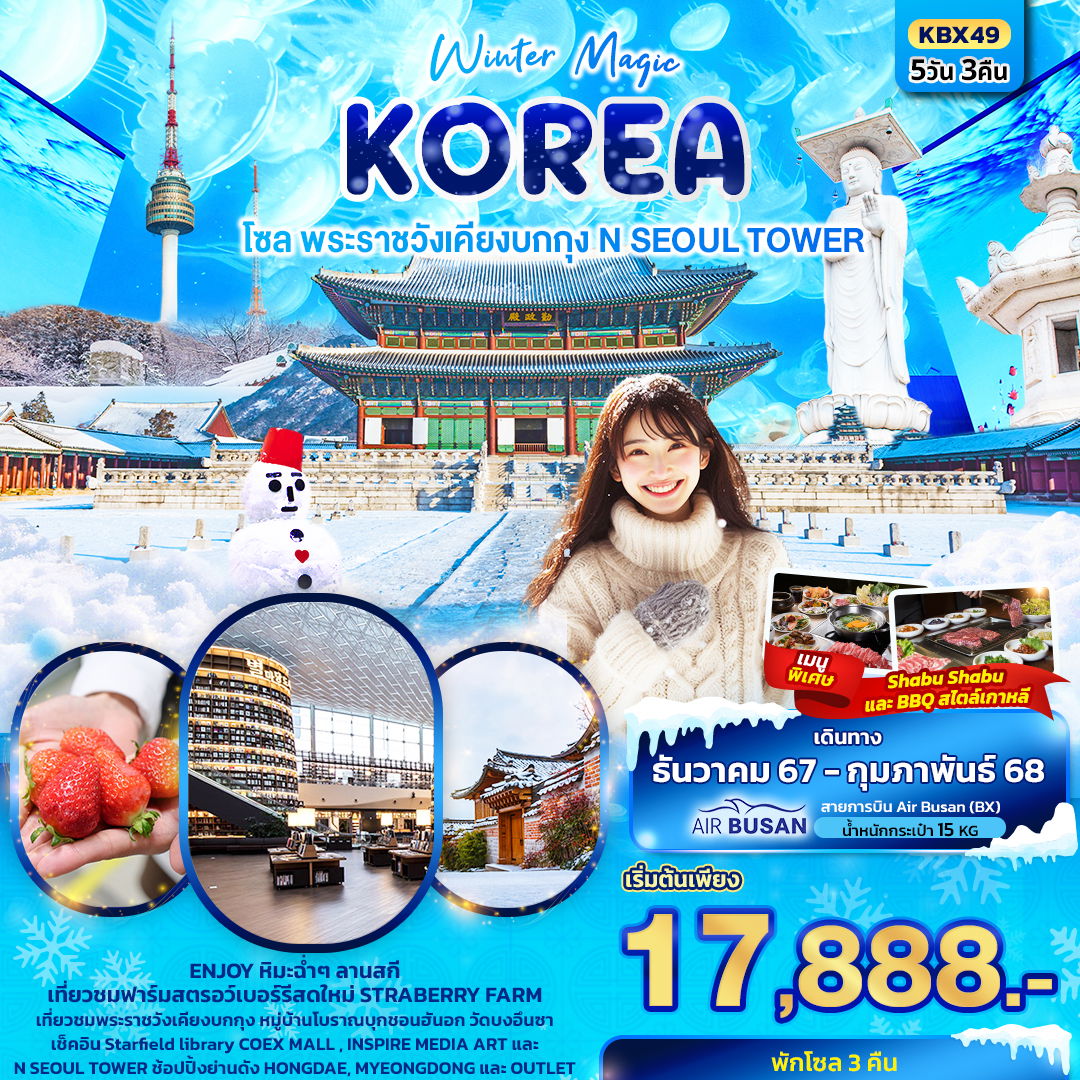 ทัวร์เกาหลี Winter Magic Korea Seoul โซล พระราชวังเคียงบกกุก N SEOUL TOWER 5 วัน 3 คืน