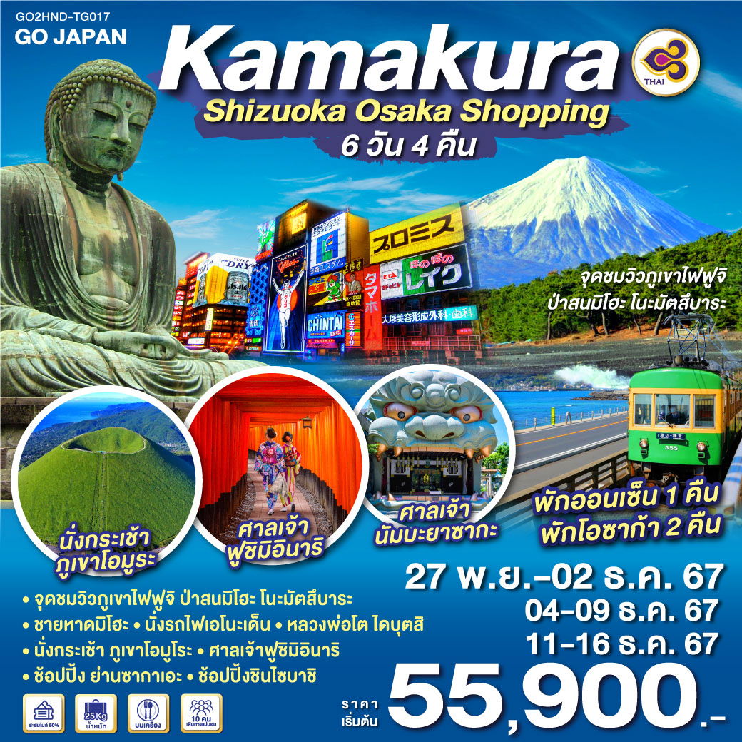 ทัวร์ญี่ปุ่น KAMAKURA SHIZUOKA OSAKA SHOPPING 6วัน 4คืน