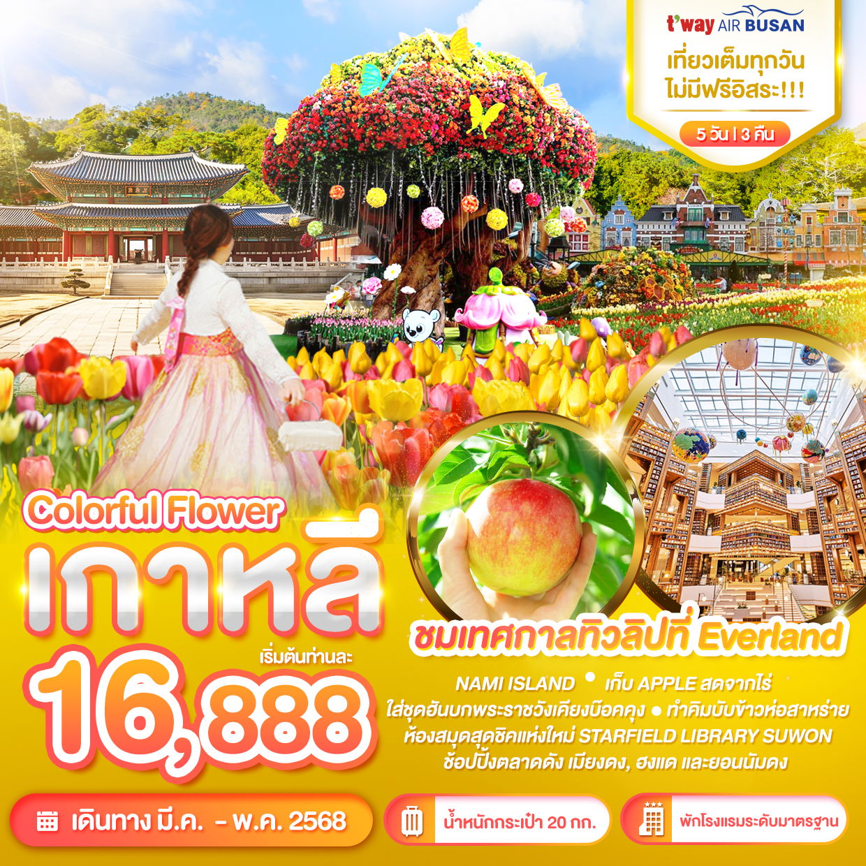 ทัวร์เกาหลี WONDER Colorful Flower ชมเทศกาลทิวลิปที่ Everland 5 วัน 3 คืน