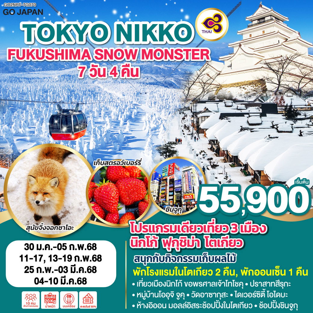 ทัวร์ญี่ปุ่น TOKYO NIKKO FUKUSHIMA SNOW MONSTER 7D 4N