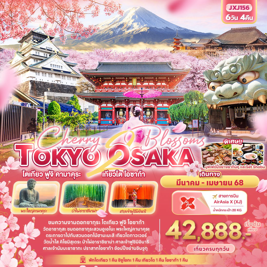 ทัวร์ญี่ปุ่น Cherry 2 blossoms TOKYO OSAKA โตเกียว ฟูจิ คามาคุระ เกียวโต โอซาก้า 6 วัน 4 คืน