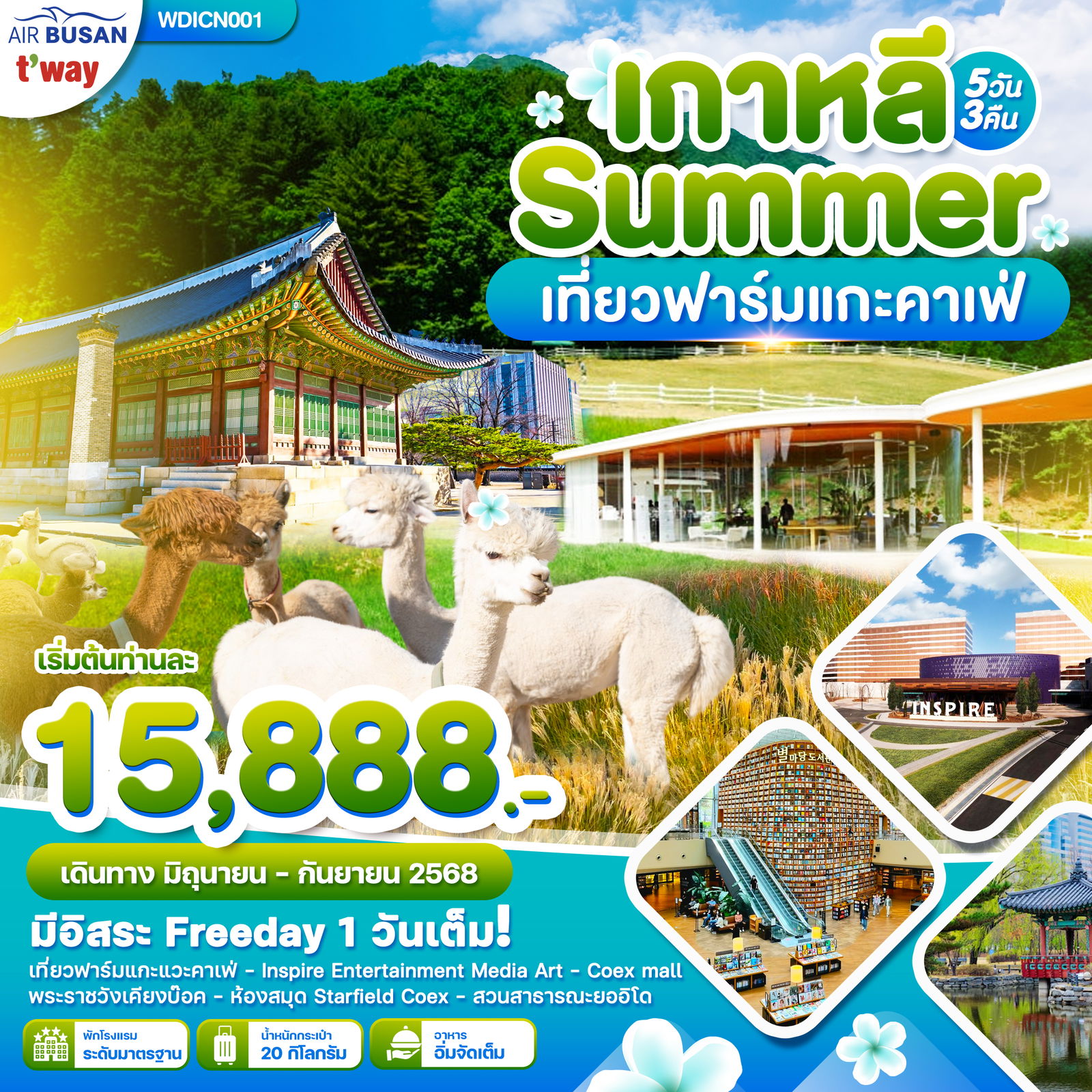 ทัวร์เกาหลี Korea Summer เที่ยวฟาร์มแกะ คาเฟ่ 5 วัน 3 คืน