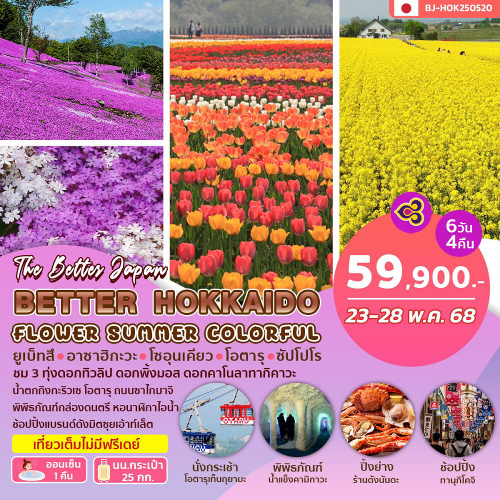 BETTER HOKKAIDO FLOWER SUMMER COLORFUL