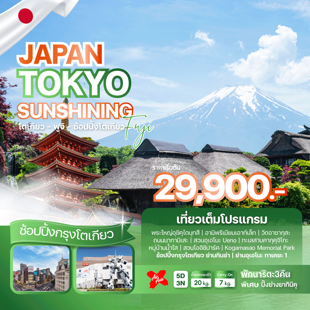 ทัวร์ญี่ปุ่น JAPAN TOKYO SUNSHINING FUJI 5 วัน 3 คืน