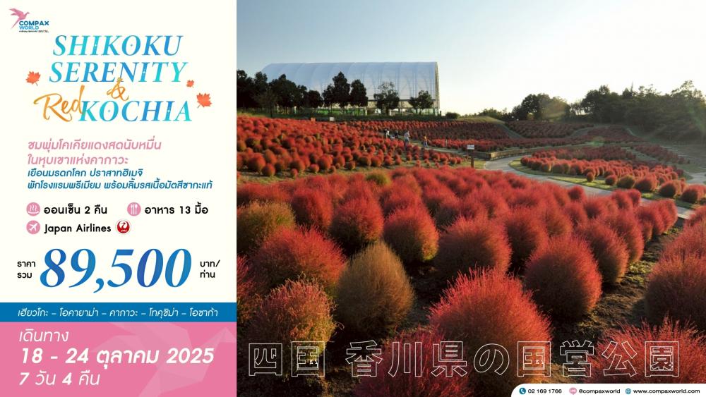 ทัวร์ญี่ปุ่น SHIKOKU SERENITY & RED KOCHIA | 18-24 OCT 2025 7 วัน 4 คืน