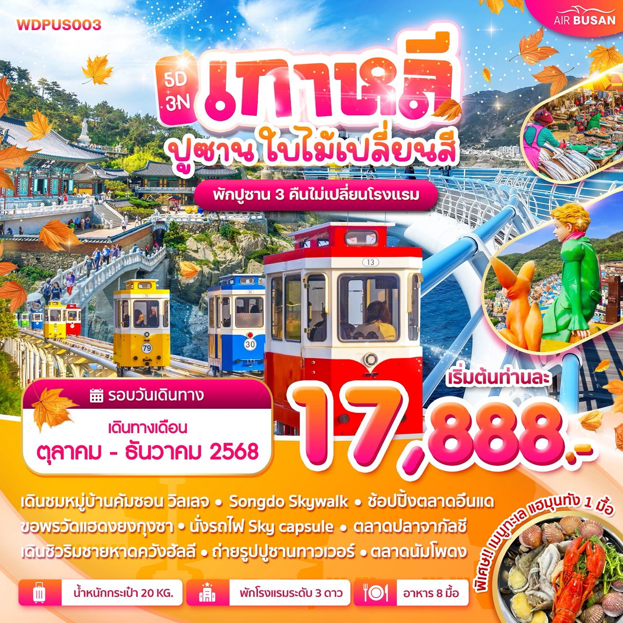 ทัวร์เกาหลี ปูซาน ใบไม้เปลี่ยนสี 5 วัน 3 คืน