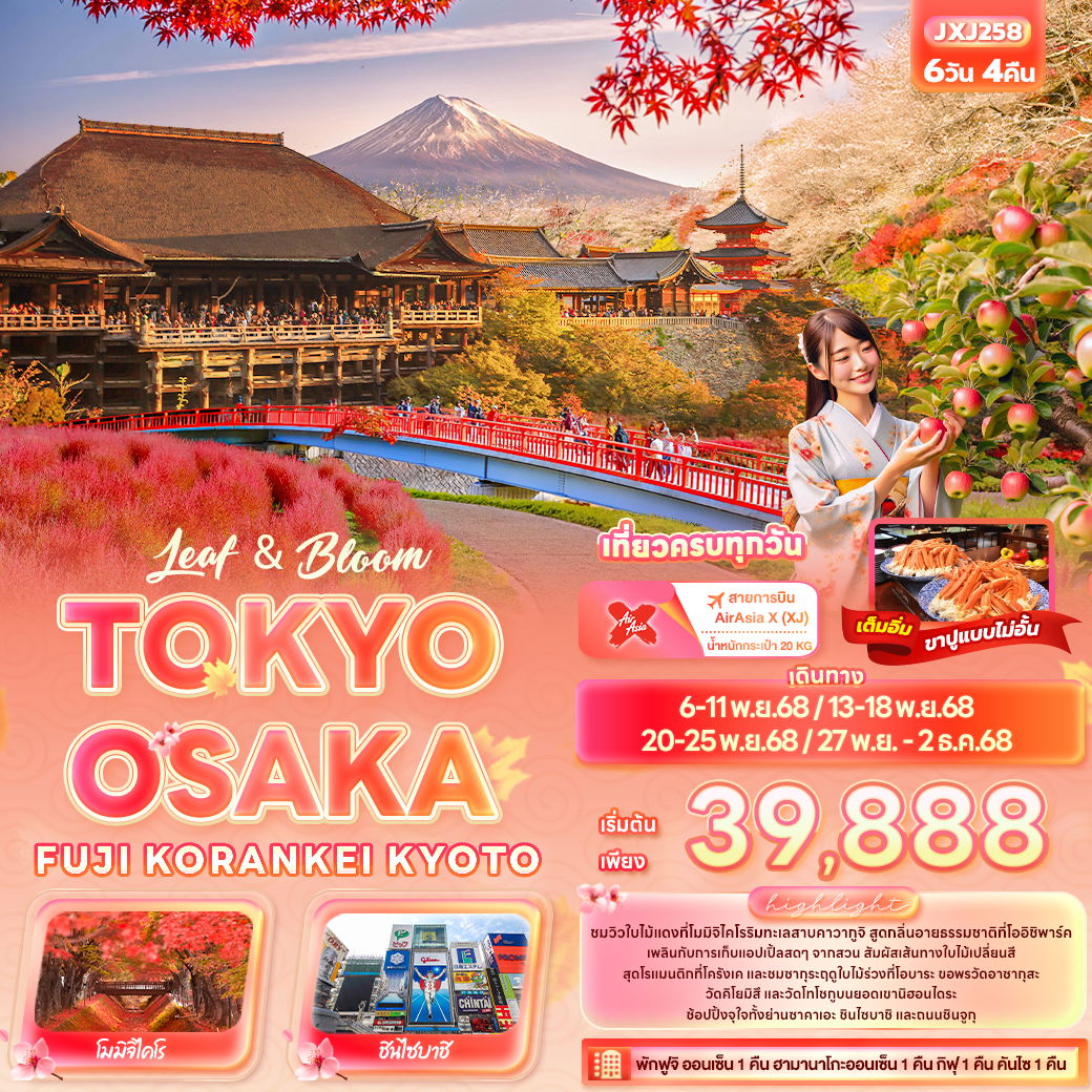 ทัวร์ญี่ปุ่น Leaf & Bloom TOKYO OSAKA FUJI KORANKEI KYOTO 6 วัน 4 คืน