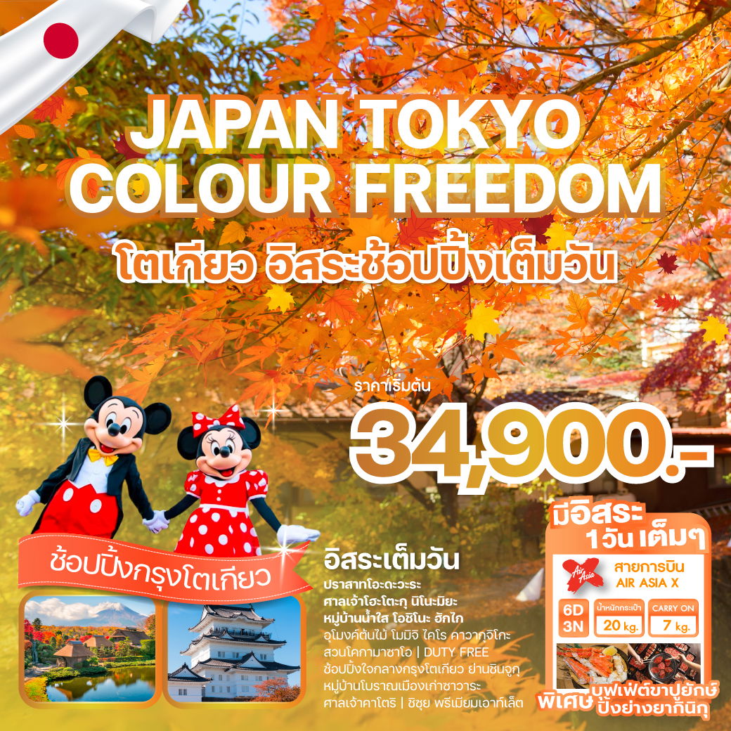 ทัวร์ญี่ปุ่น JAPAN TOKYO COLOUR FREEDOM 6 วัน 3 คืน