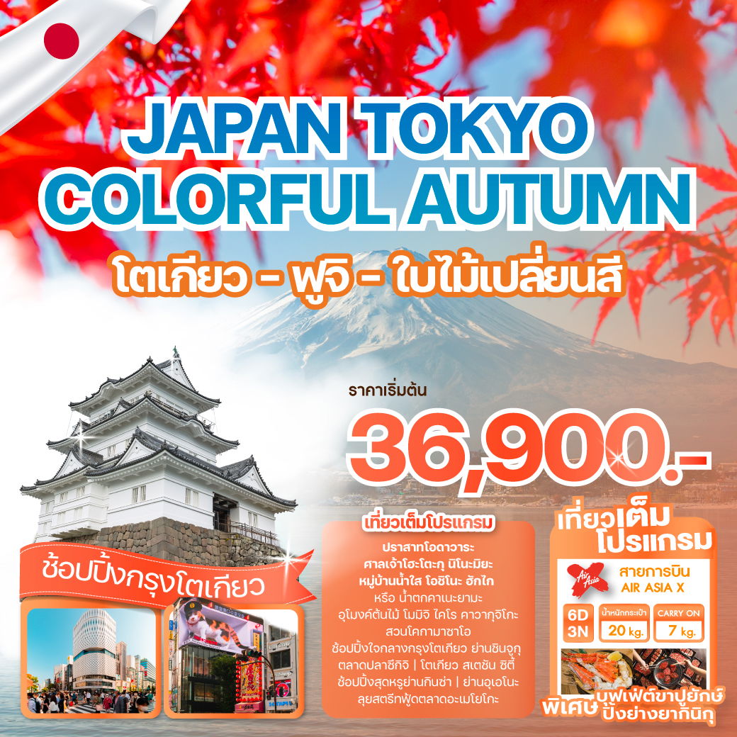 ทัวร์ญี่ปุ่น JAPAN TOKYO COLORFUL AUTUMN ใบไม้เปลี่ยนสี 6 วัน 3 คืน
