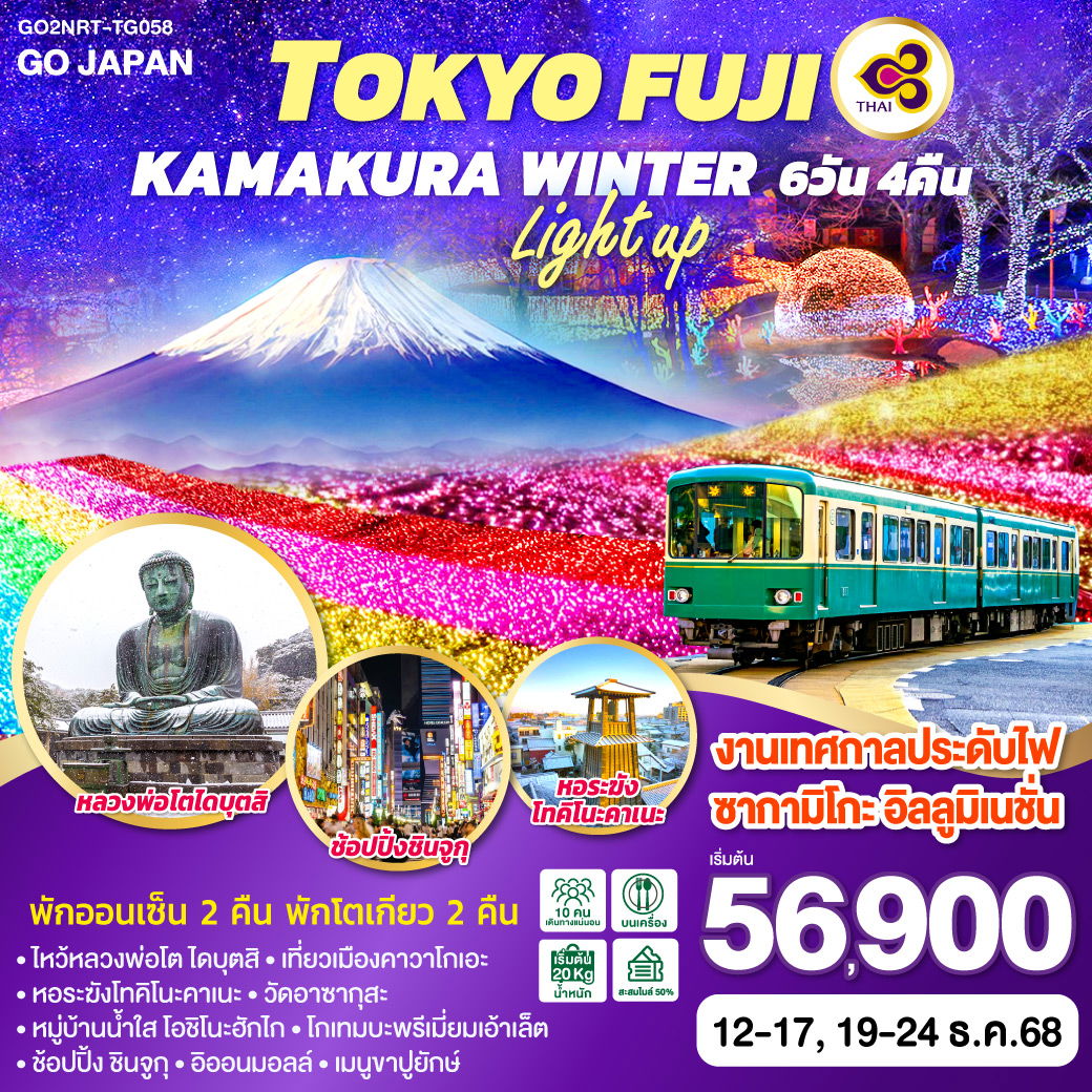 ทัวร์ญี่ปุ่น TOKYO FUJI KAMAKURA WINTER LIGHT UP โตเกียว ฟูจิ คามาคุระ 6 วัน 4 คืน