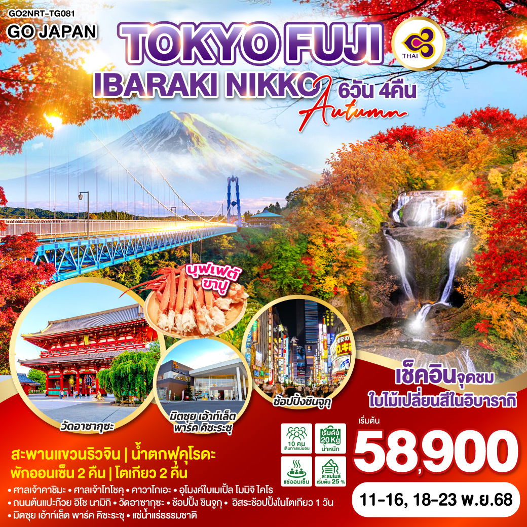 ทัวร์ญี่ปุ่น TOKYO FUJI IBARAKI NIKKO AUTUMN โตเกียว ฟูจิ อิบารากิ นิกโก้ ใบไม้เปลี่ยนสี 6 วัน 4 คืน