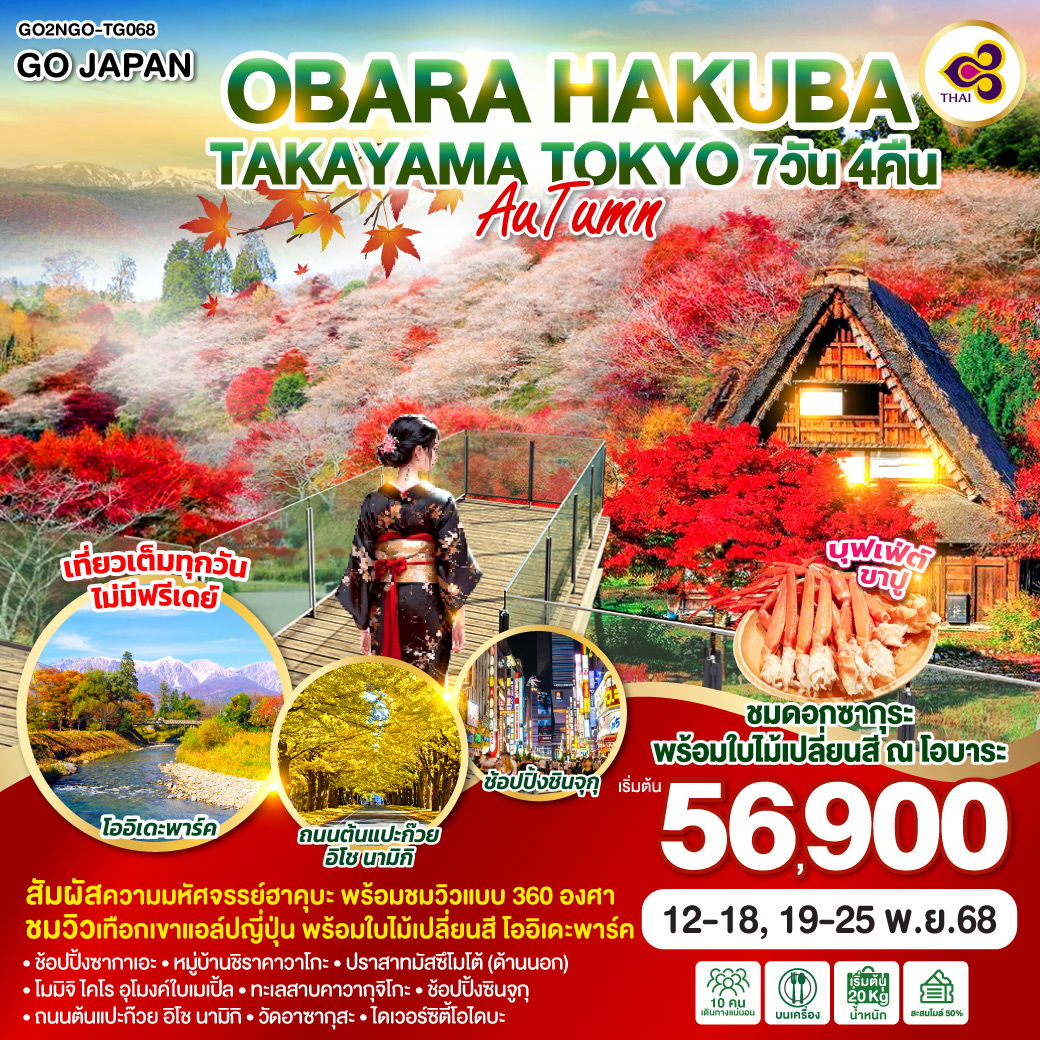 ทัวร์ญี่ปุ่น OBARA HAKUBA TAKAYAMA TOKYO AUTUMN 7 วัน 4 คืน