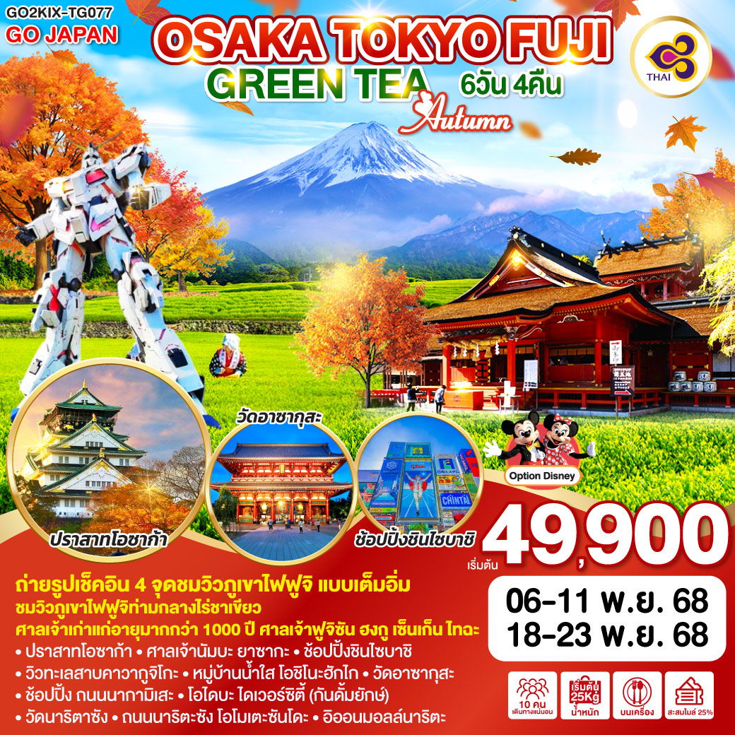 ทัวร์ญี่ปุ่น OSAKA TOKYO FUJI GREEN TEA AUTUMN 6D 4N
