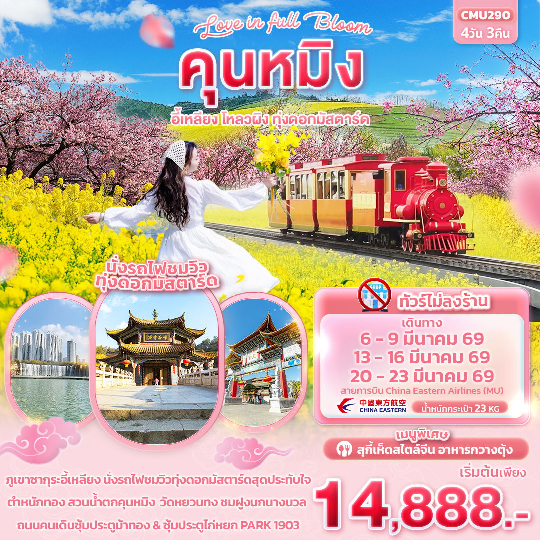 ทัวร์จีน Love in Full Bloom คุนหมิง อี้เหลียง โหลวผิง ทุ่งดอกมัสตาร์ด 4 วัน 3 คืน