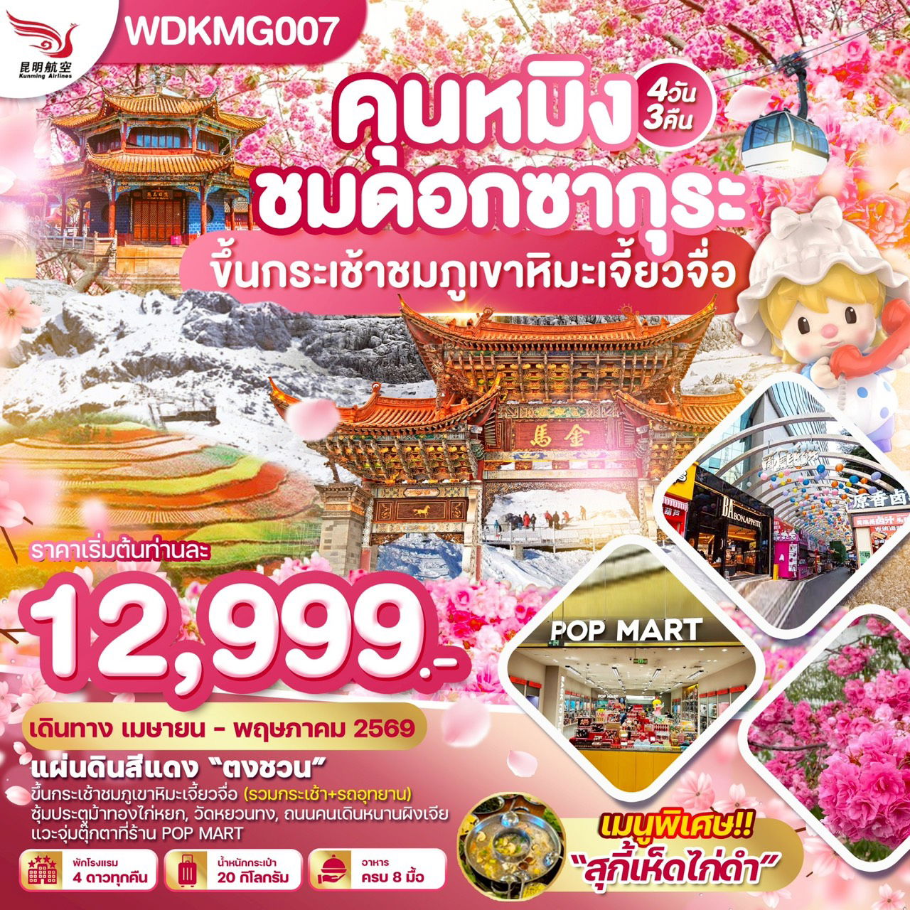 ทัวร์จีน  คุนหมิง ”ชมดอกซากุระบาน“ภูเขาหิมะเจี้ยวจื่อ แผ่นดินสีแดง 4 วัน 3 คืน