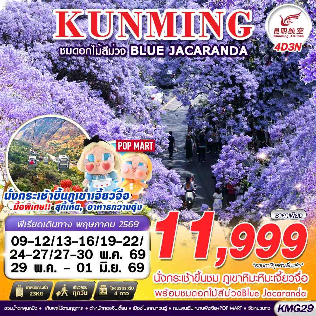 ทัวร์จีน KUNMING ภูเขาหิมะเจี้ยวจื่อ - ดอกไม้สีม่วง Blue Jacaranda 4 วัน 3 คืน (MAY 26)