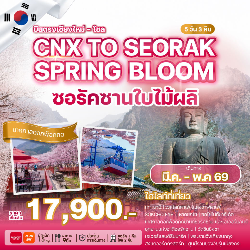 ทัวร์เกาหลีบินตรงเชียงใหม่ CHIANG MAI TO SEORAK SPRING BLOOM 5 วัน 3 คืน