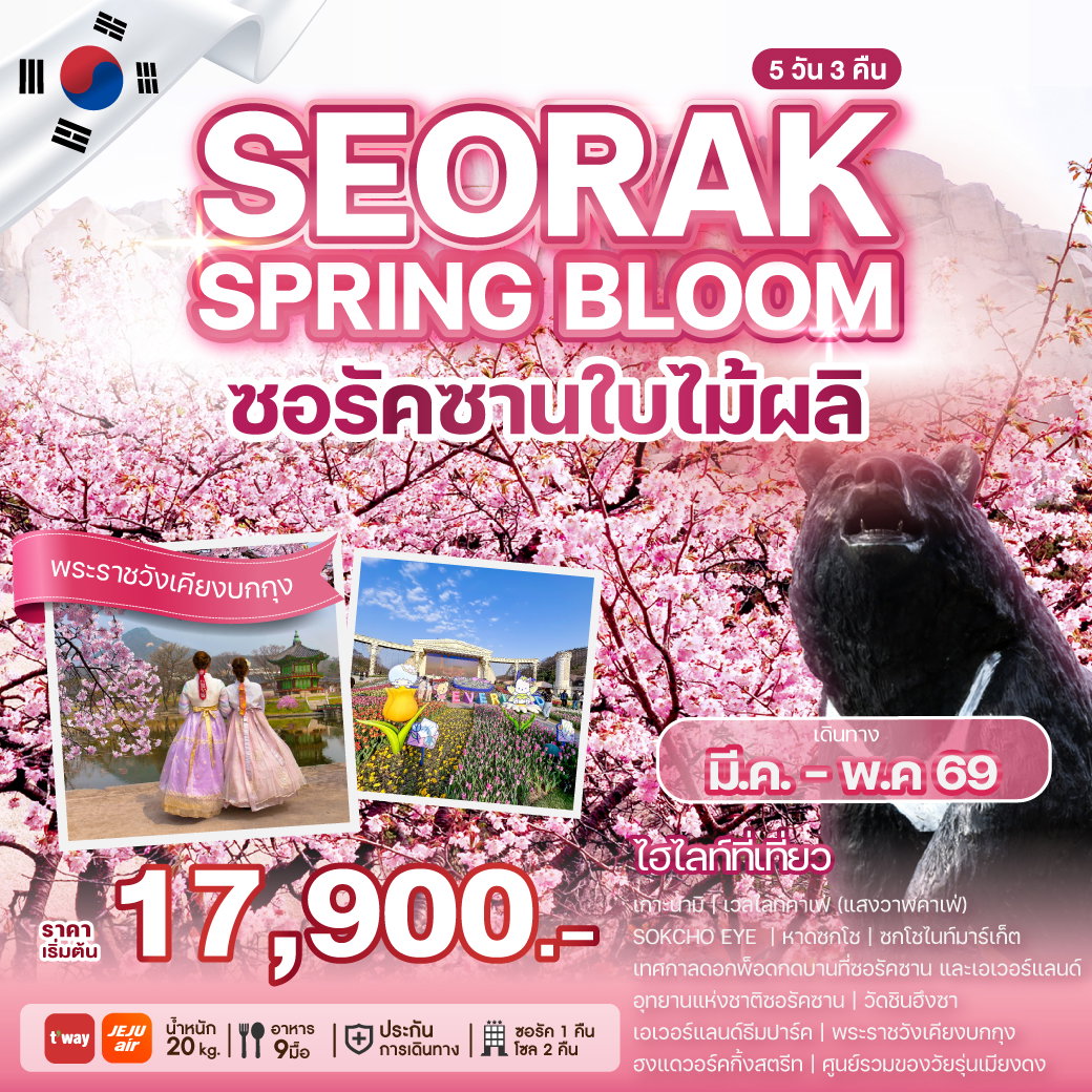 ทัวร์เกาหลี SEORAK SPRING BLOOM