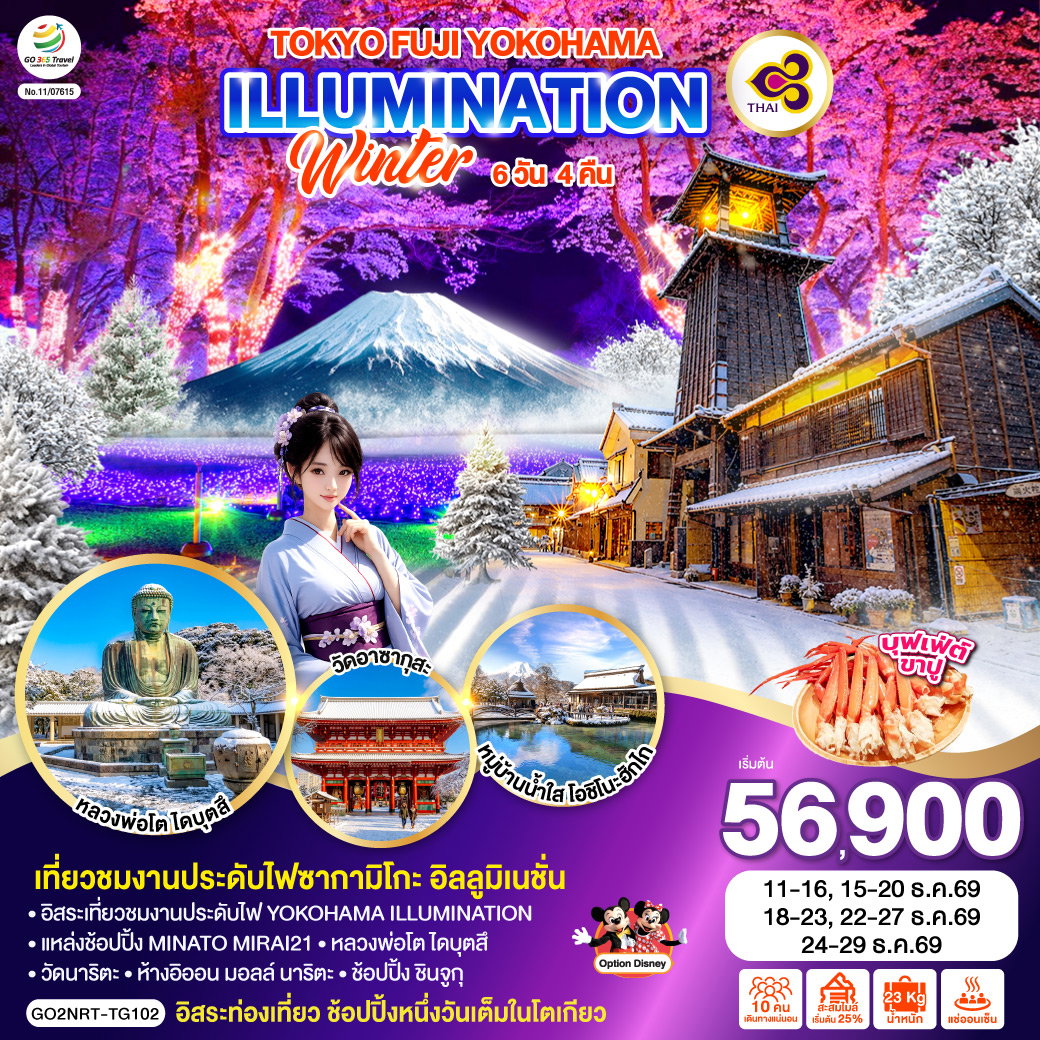 ทัวร์ญี่ปุ่น TOKYO FUJI YOKOHAMA ILLUMINATION WINTER โตเกียว ฟูจิ โยโกฮาม่า งานประดับไฟซากามิโกะ อิลลูมิเนชั่น 6 วัน 4 คืน