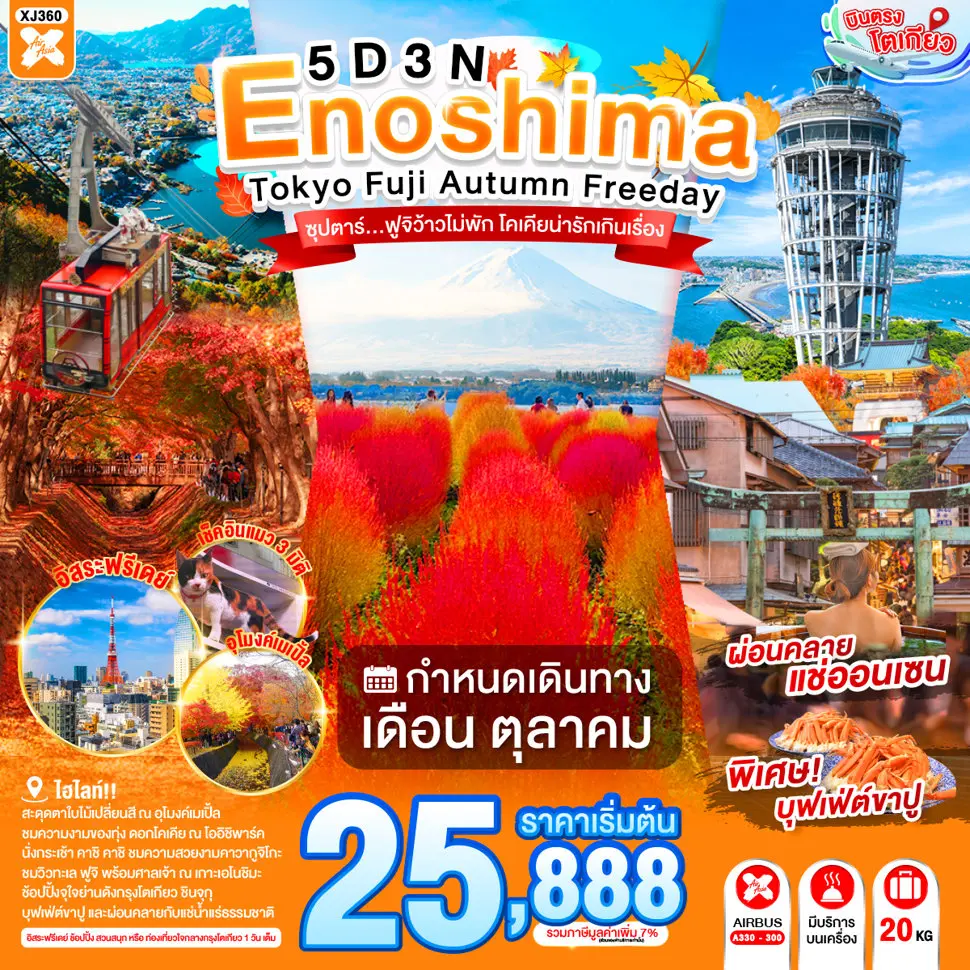 ทัวร์ญี่ปุ่น ENOSHIMA TOKYO FUJI AUTUMN FREEDAY 5 วัน 3 คืน ซุปตาร์... ฟูจิว้าวไม่พัก โคเคียน่ารักเกินเรื่อง