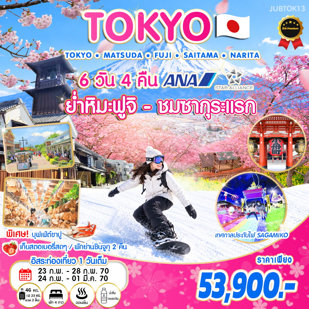 ทัวร์ญี่ปุ่น TOKYO ย่ำหิมะ ชมซากุระแรก 6 วัน 4 คืน บิน NH