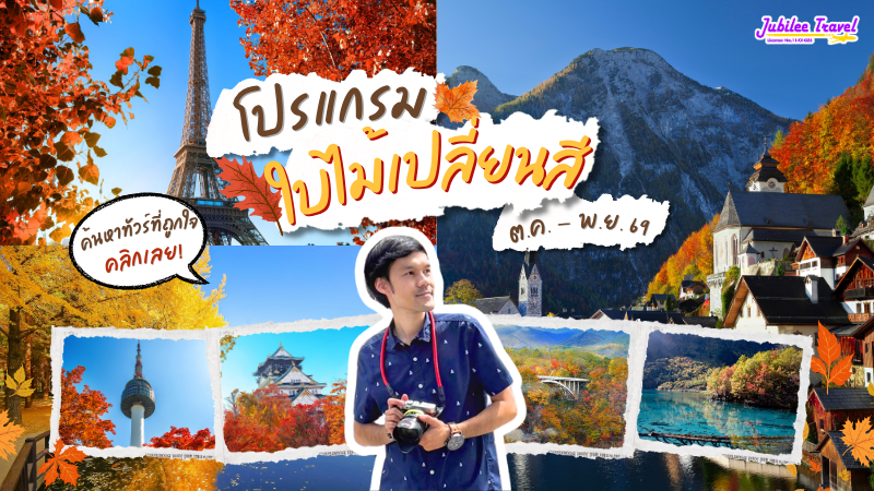 รวมทัวร์ใบไม้เปลี่ยนสี