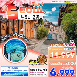 ทัวร์เกาหลี Seoul Plus+ 4วัน 2คืน