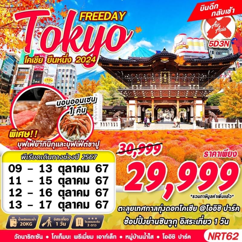 ทัวร์ญี่ปุ่น NRT62 XJ BKK TOKYO โคเชีย ยืนหนึ่ง 2024 (FREEDAY บินดึก) OCT-NOV 5D3N