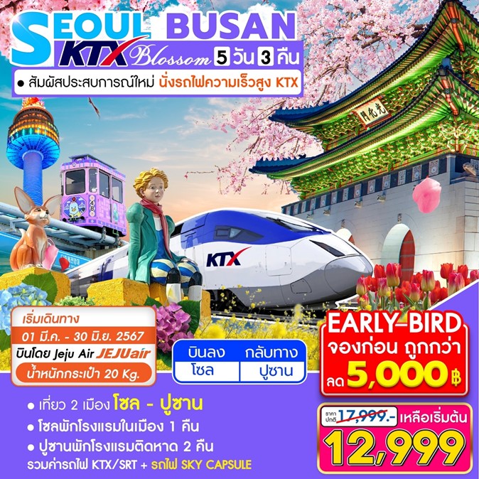 ทัวร์เกาหลี KTX SEOUL-BUSAN BLOSSOM 5D3N 