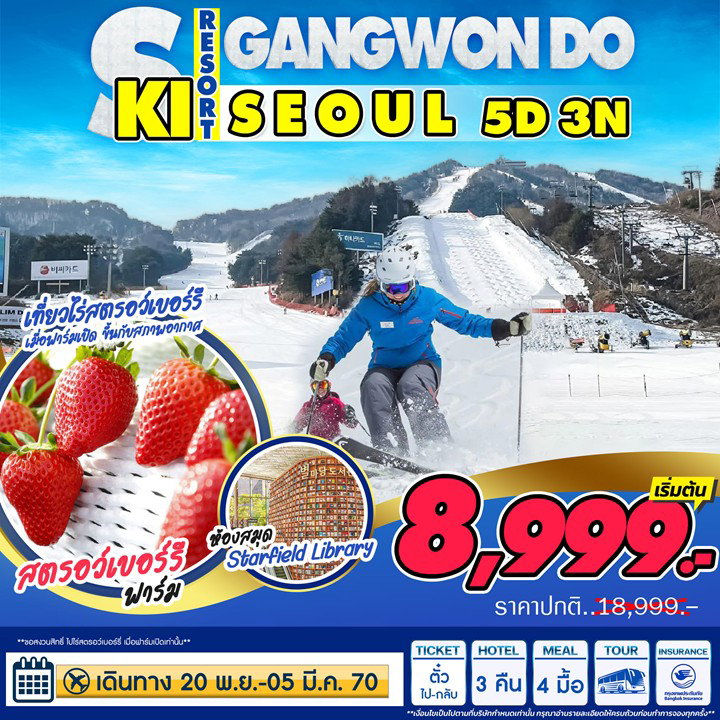 ทัวร์เกาหลี Seoul-Ski Gangwondo 5วัน3คืน 