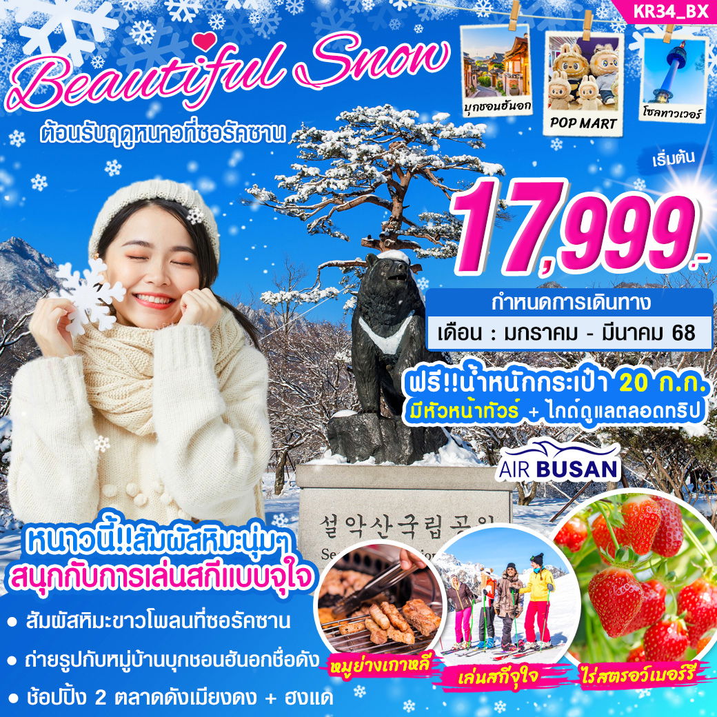 KR34 ทัวร์เกาหลี BEAUTIFUL SNOW 5 วัน 3 คืน