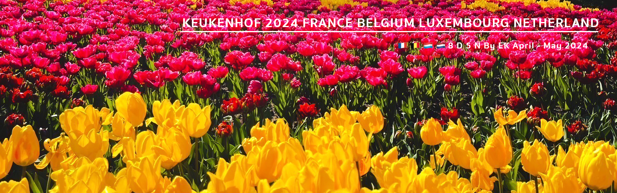 KEUKENHOF 2024 FRANCE BELGIUM LUXEMBOURG NETHERLAND