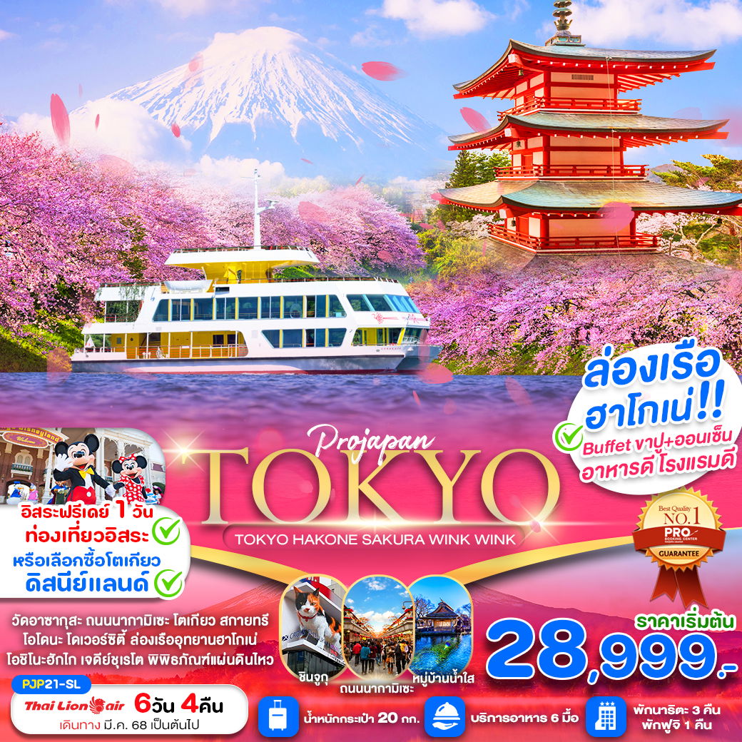 PJP21-SL TOKYO HAKONE SAKURA WINK WINK FREE DAY 6D4N