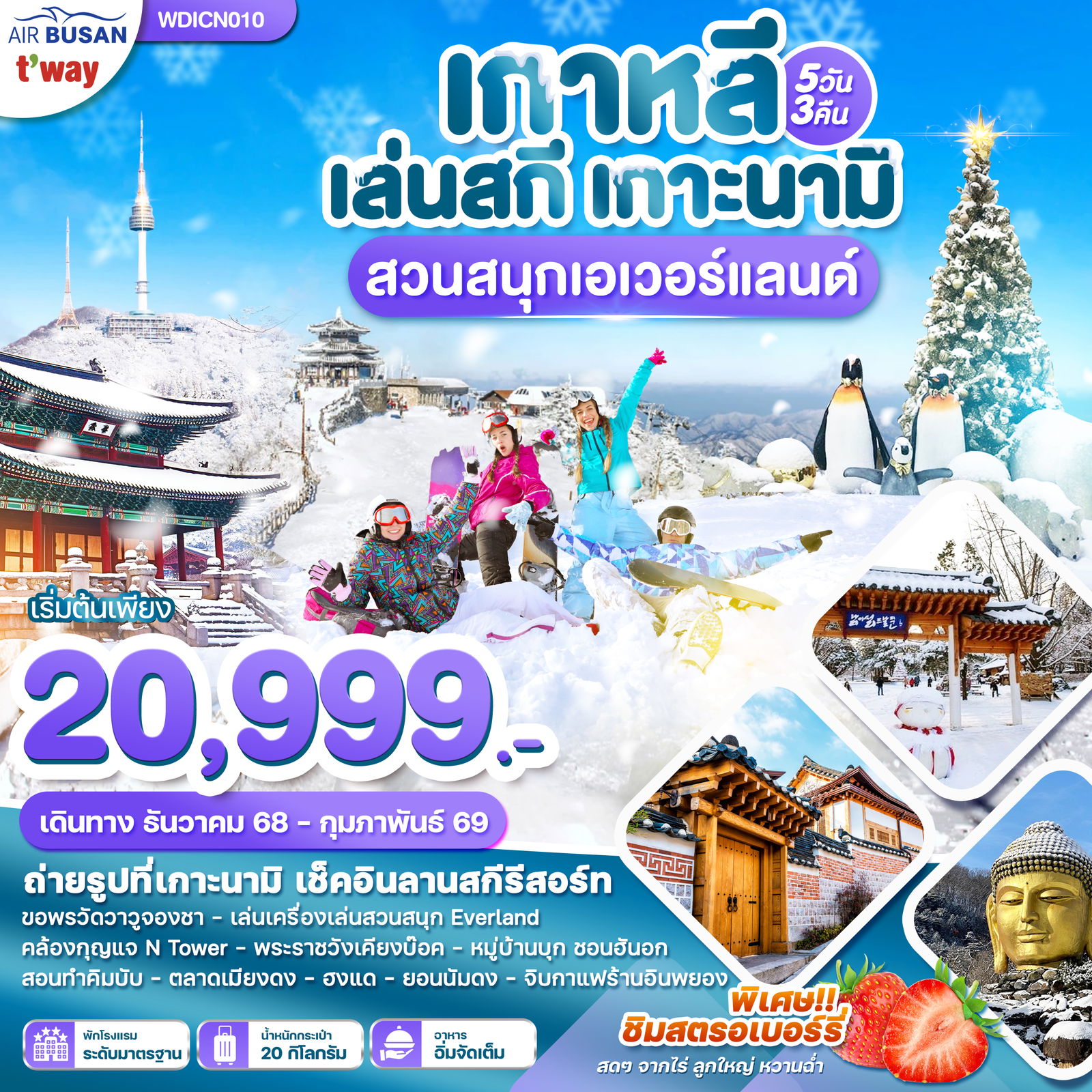 WDICN010 เกาหลี เล่นสกี เกาะนามิ สวนสนุกเอเวอร์แลนด์ 5วัน 3คืน