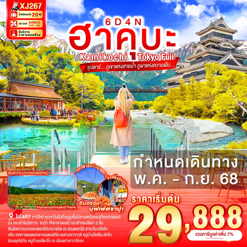 ญี่ปุ่น โตเกียว ฮาคุบะ ภูเขาแห่งสายน้ำ ภูผาแห่งความฝัน 6 วัน 4 คืน (XJ)